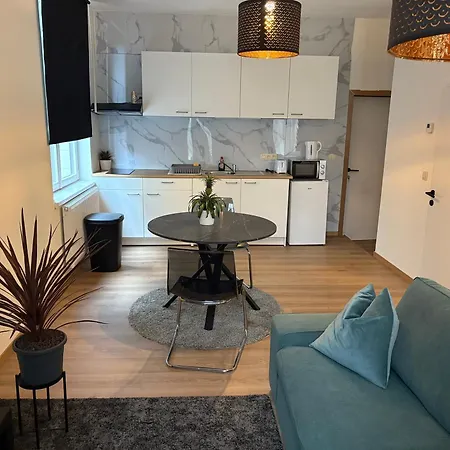 Center Monet Apartament *